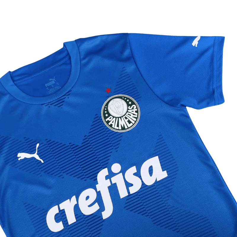 Camisa Masculina Palmeiras 2023/24 - Goleiro